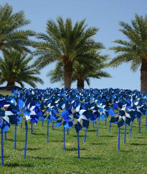 Colorful Pinwheels