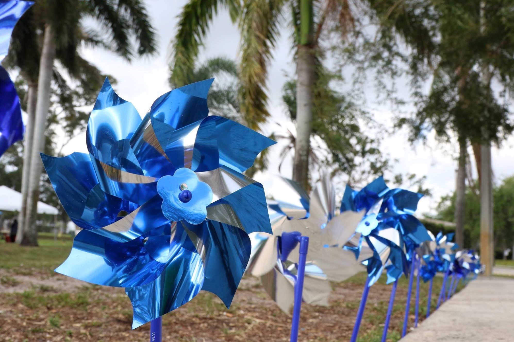 Pinwheels for Prevention