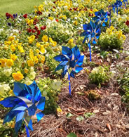 Micro Pinwheel Garden