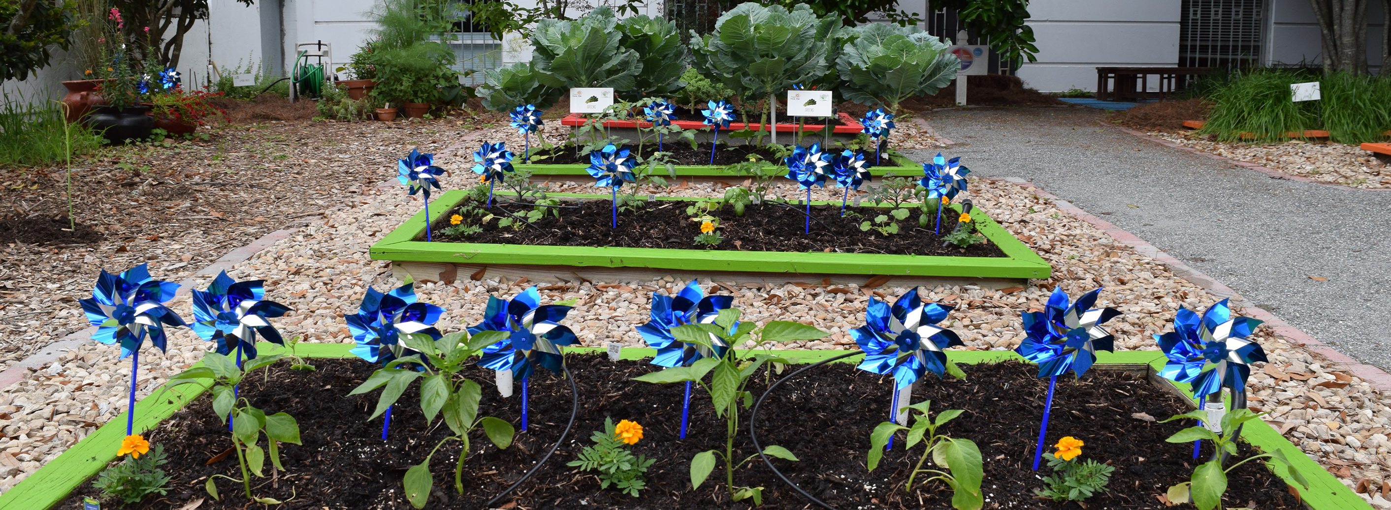Pinwheel Garden